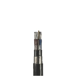 Cabo LSVAV 2x25 mm² P. Única