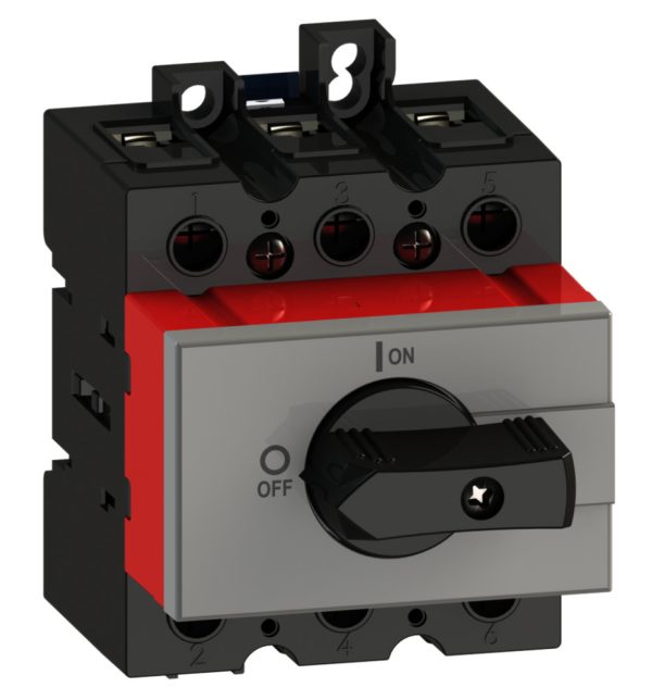 MZ41170.jpg